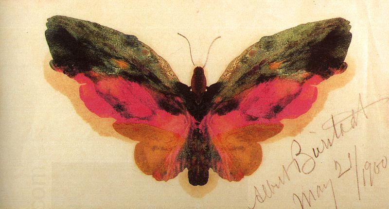 Albert Bierstadt Butterfly oil painting picture